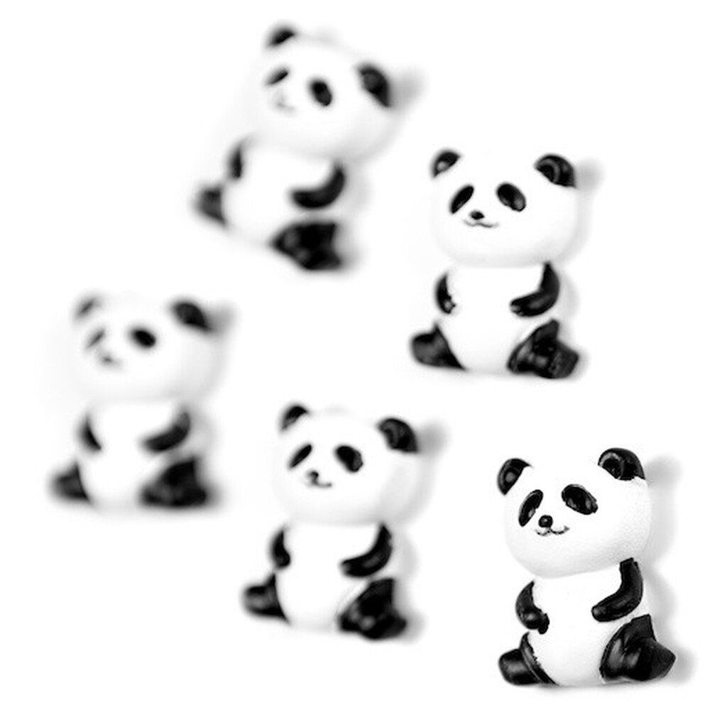 Magnesy na lodówkę misie panda 5 szt.